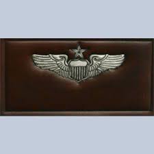 Badges of the united states air force are specific uniform paraphernalia authorized by the united states air force that signify aeronautical ratings, special skills, career field qualifications, and serve as identification devices for personnel occupying certain assignments. Nametag Af Senior Pilot Name Tags Dark Brown Leather Leather