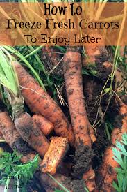 Check spelling or type a new query. How To Freeze Fresh Carrots To Enjoy Later Farm Fit Living