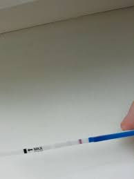 Levyj Test Ili Beremennost
