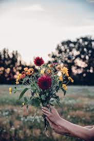 Planning your visit to epcot flower and garden in 2021? Summer Picnic In The Countryside With Le Rustique Our Food Stories