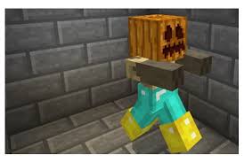 We want to make a . Help Host Your Minecraft Server As Staff By Akuma4252 Fiverr