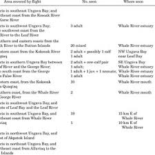 Memes conquistam o público em todo o mundo. Sightings Of Beluga Whales In Aerial Surveys Of Ungava Bay During July Download Table