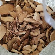 Image result for Toddalia