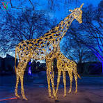 Outdoor Christmas Decorations LED Large Animals 3D Giraffe Motif Lights