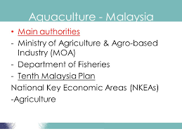 +60 (6) 613 83 52. Yuzine B Esa Phd Principles Of Aquaculture Aku3201 Ppt Download