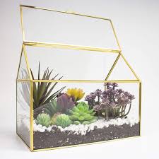 Terrarium is increasingly popular nowadays. Ferrisland Geometric Glass Terrarium Full Ball Planter Indoor Balcony Window Sill Succulent Plant Cacti Fern Flower Pot Container Tabletop Flower Vase Bonsai Miniature Centerpiece Terrariums