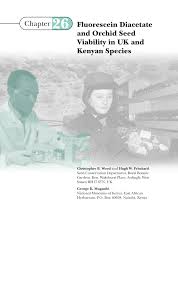 Image result for Diaphananthe lorifolia