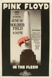 Image result for Pink 1977 Caloric