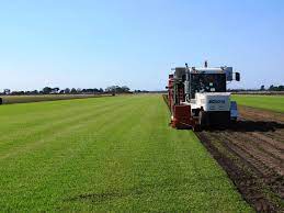 Pin On Our Farms Lilydale Instant Lawn