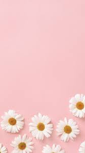 Pastel aesthetics lavender lilac, aesthetic pastel, purple, blue png. Pastel Aesthetic Flower Wallpapers Wallpaper Cave
