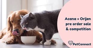 Ratings and reviews have changed. Pet Connect Nz Home Facebook