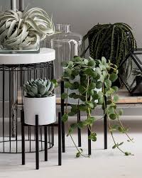 Plant Stand Pflanzenstander Mica Decorations Aus Metall In Schwarz Black Plantstand Metal Pflanzestander Pflanzenstander Pflanzen Pflanzen Fur Innen