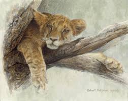 Oroszlanok Oroszlanos Festmenyek Big Cats Art Animal Paintings Wildlife Artists