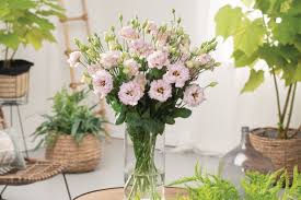 Maybe you would like to learn more about one of these? Cut Flowers
