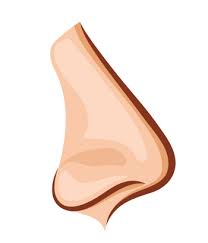 Maybe you would like to learn more about one of these? A Quoi Servent Nos Poils