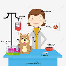 Estas reuniones serán establecidos y seguidos por el veterinario. Veterinario De Dibujos Animados De Vector Imagenes Predisenadas De Veterinario Vector De Dibujos Animados Ingles Png Y Psd Para Descargar Gratis Pngtree