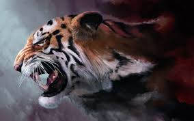 صور نمر نمور Tiger حيوانات طبيعة 34 Tiger Wallpaper Tiger Art Pet Tiger