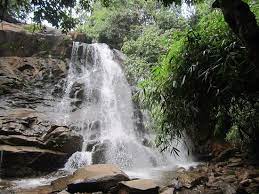 Nearest airport is mangalore and nearest railway stations are udupi (96 km) and shimoga (114 km). Sirimane Fall Picture Of Sirimane Falls Sringeri Tripadvisor