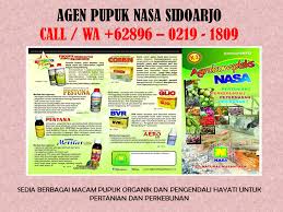 Wa 62896 0219 1809 Pupuk Buah Durian Pupuk Buah Kelengkeng Nasa Buah Daun