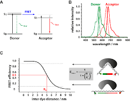نتیجه جستجوی لغت [fret] در گوگل