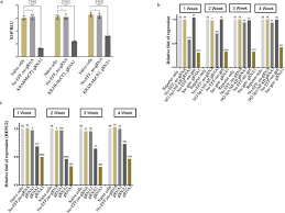 Image result for Gold 1997 AAV