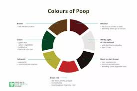 Image result for yellow stool human poop