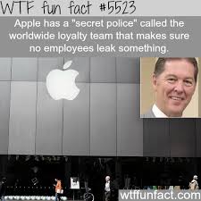 Wtf Fun Factss Fun Facts Wtf Fun Facts Funny Facts