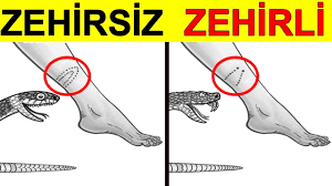 Https Www Haberler Com Bakan Gul Den Mhp Li Baskana Telefon 10089605 Haberi Https Foto Haberler Com Haber 2017 10 02 Bakan Gul Den Mhp Li Baskana Telefon 10089605 O Jpg Https Www Haberler Com Bursa Da Uyusturucu Operasyonu 5 10089606