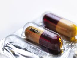 What Is The Difference Between Amoxicillin And Augmentin