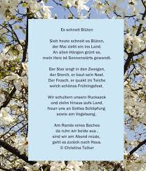 Heute Schneit Es Bluten In 2020 Christliches Leben Gedichte Bilder