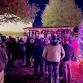 Baldwin Christmas Tree Lighting event image
