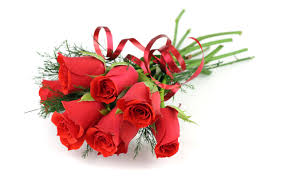 Download Hintergrundbild Blumen Rosen Rote Blumenstrauss Weisser Hintergrund Die Auflosung 1920x1080 24858