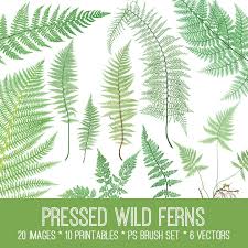 Guaranteed lowest prices, best selection and fast shipping. Ferns Clip Art Ferns Png S Junk Journal Digital Kit Ferns Printable Digital Journal Kit Ferns Junk Journal Kit Set 1 37 Png S Ferns Card Making Stationery Craft Supplies Tools Delage Com Br