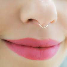 …cross walls called septa (singular septum). Diamant Septum Piercing Nasenpiercing Silber Septum Schmuck Septumring 18g Amazon De Handmade Produkte