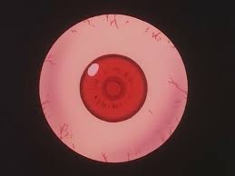 They are teal in the 1999 anime adaptation and gray in the 2011 series. Scarlet Eyes Hunterpedia Fandom