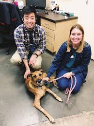 Both staff and clients share a love for every pet that enters the hospital and strong. Meet Zoey Zoey Came To Alameda East Vca Alameda East Veterinary Hospital Facebook