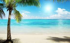 Beautiful Anime Beach Wallpaper In 2021 Beach Wallpaper Beautiful Landscape Wallpaper Beautiful Beach Pictures