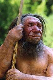Als neandertaler bezeichnet man eine ausgestorbene menschenform. Neandertaler Wikipedia