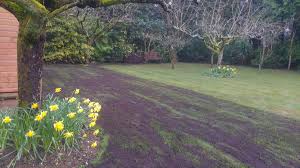 The top countries of suppliers are china, hong kong s.a.r., and taiwan, china, from which the percentage of dress. Applying Top Dressing To A Lawn Uk Lawn Care Association