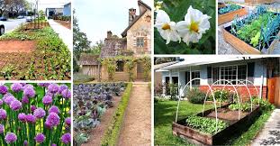 15 Vegetable Garden Ideas Front Yard Feasts In Disguise Decor Home Ideas