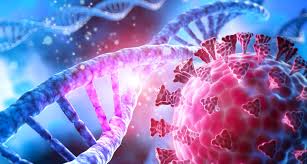 The delta variant was the primary cause behind the. Sars Cov 2 Britische Variante Hat Mutation E484k Der Sudafrikanischen