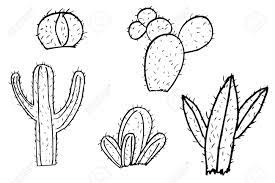 Easy step by step tutorial on how to draw a cactus, pause the video at every step to follow the steps carefully. Hand Draw Sketch Of Cactus Royalty Free Cliparts Vectors And Stock Illustration Image 29028462