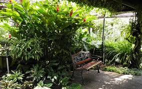 Its like a personal beach for secret garden's guests. Secret Garden Atop Shopping Mall Is A Balm For The Soul Free Malaysia Today Fmt