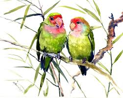 Pin On Watercolor Birds