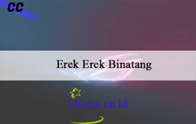 Karena ini kali semua kami berkumpul jadi satu seperti taysen angka pelarian alam dan ada banyak kembali. Erek Erek Binatang 2d 3d 4d Kode Alam Dan Buku Primbon