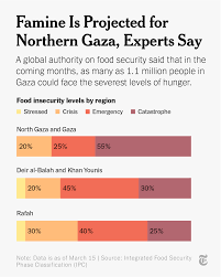 The New York Times on X: "Famine is projected in northern Gaza, according  to a new report from a global authority on food security set up by UN  agencies and international relief