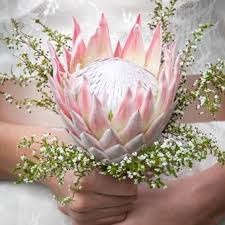 We did not find results for: Simple Wedding Bouquets Lovetoknow