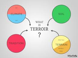 Terroir Definition For Wine Wine Folly Wine Folly Wine Facts Wine Knowledge