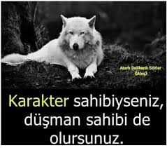 Filiz Tetik Adli Kullanicinin Hayat Guzel De Panosundaki Pin Guzel Soz Ozlu Sozler Anlamli Alintilar