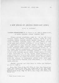Image result for Aristida stenostachya